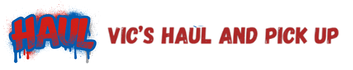 vic's logo